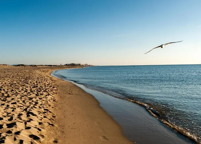 公寓 Cap Sud-6 By Interhome